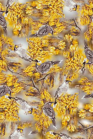 叶子印花华亿平台图片