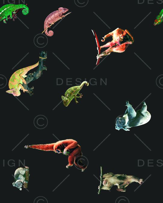 动物排版印花华亿平台图片