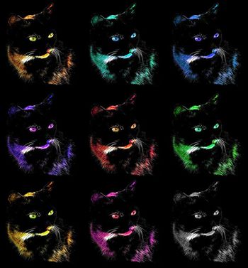 446418-黑暗荧光印象波普猫咪神情专注女装连