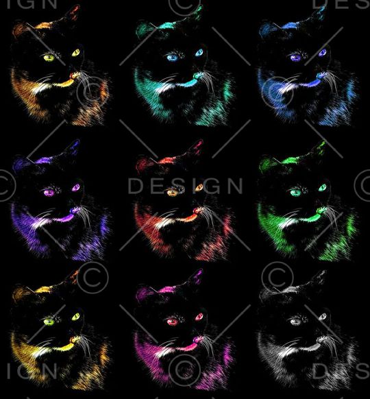 波普印花华亿平台图片