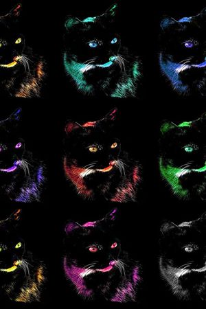 波普印花华亿平台图片