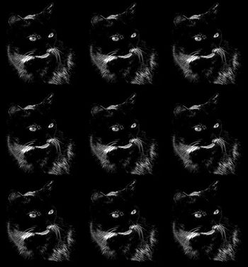 446419-黑暗印象波普猫咪神情专注女装连衣裙