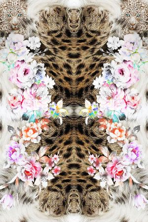 豹纹印花华亿平台图片