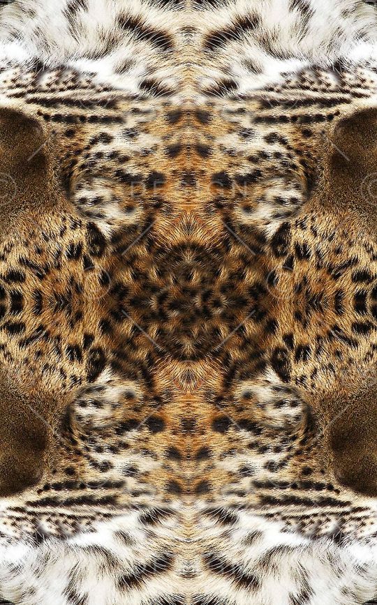 豹纹印花华亿平台图片