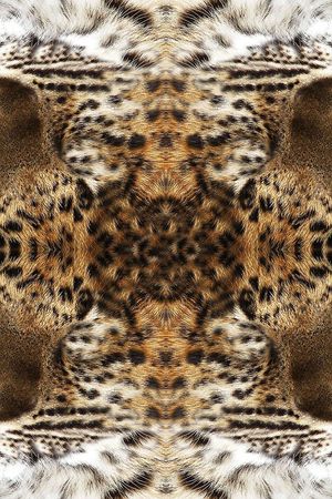 豹纹印花华亿平台图片