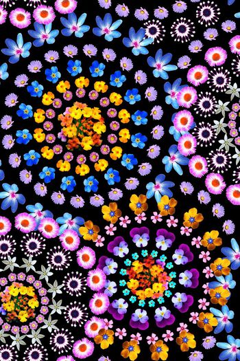 446507-清晰花组合