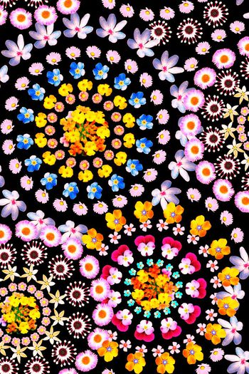 446508-清晰花组合