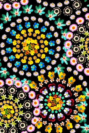 446509-清晰花组合