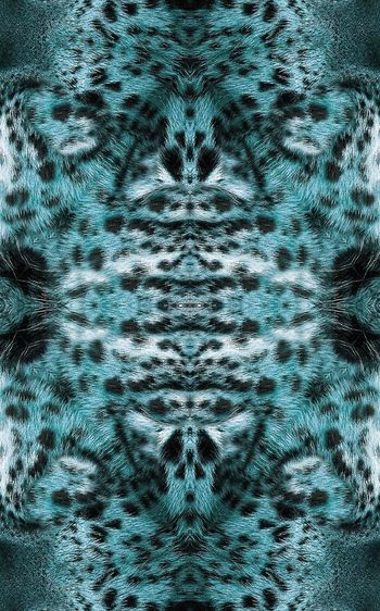 446516-豹纹豹子豹皮组合男装外套夹克女装连