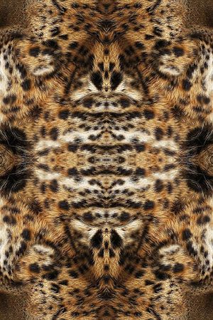 豹子印花华亿平台图片