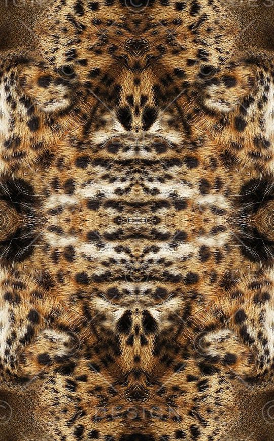 豹子印花华亿平台图片