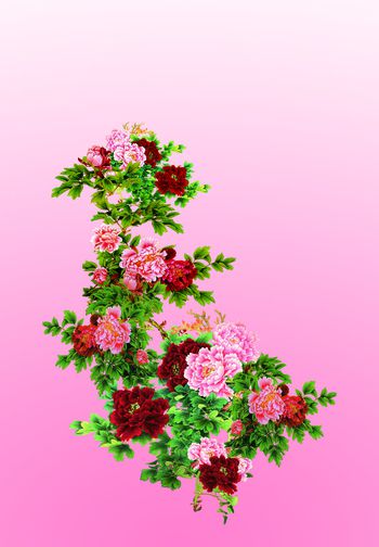 民族风印花华亿平台图片