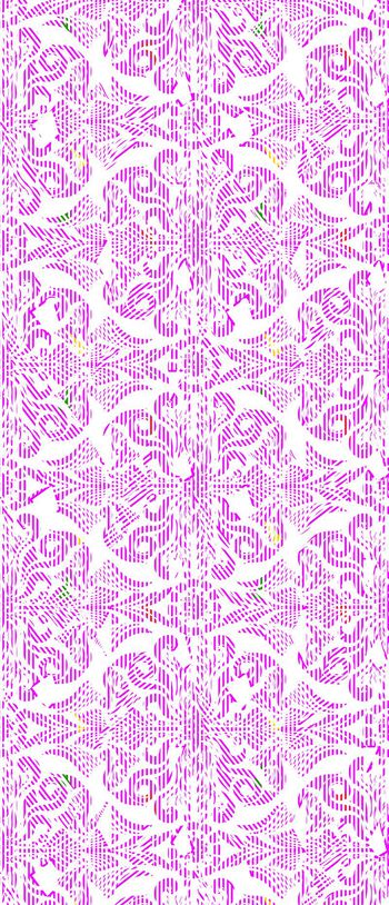 446863-方连续-巴迪