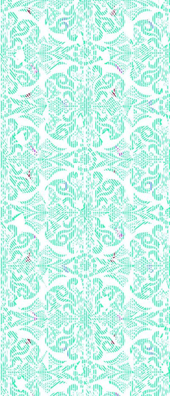 446864-方连续-巴迪