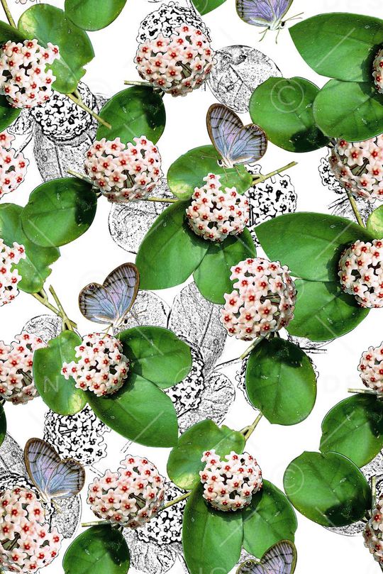 叶子绣球素描花卉年轻时尚数码印花印花华亿平台图片