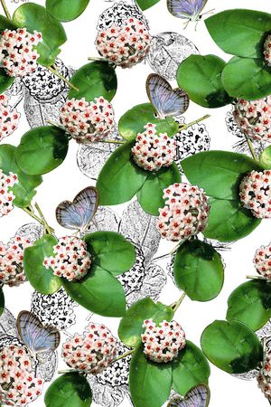 叶子绣球素描花卉年轻时尚数码印花印花华亿平台图片