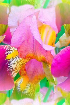 定位马来风格印花华亿平台图片