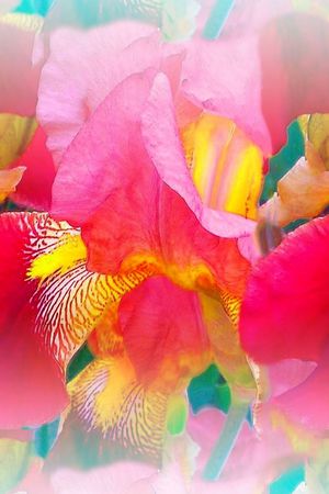 定位马来风格印花华亿平台图片