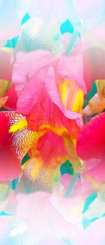 446877-马来风格数码印花女装中间定位鲜花梦