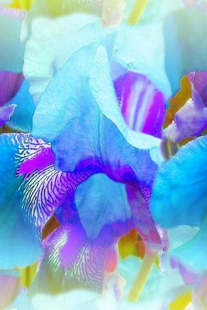 定位马来风格印花华亿平台图片