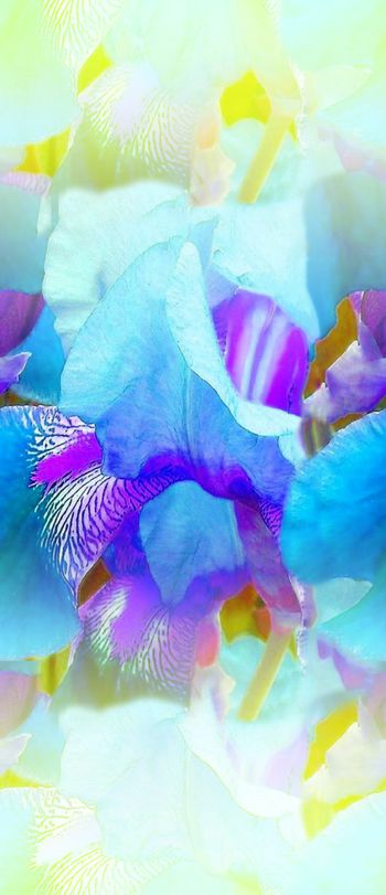 446878-马来风格数码印花女装中间定位鲜花梦