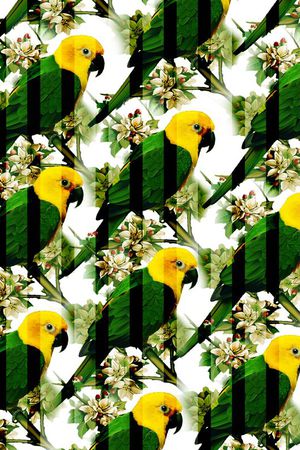 花印花华亿平台图片