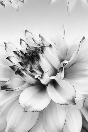 时尚印花华亿平台图片