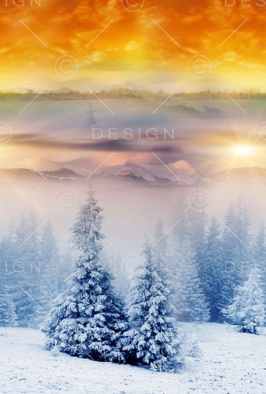 冬日雪景印花华亿平台图片