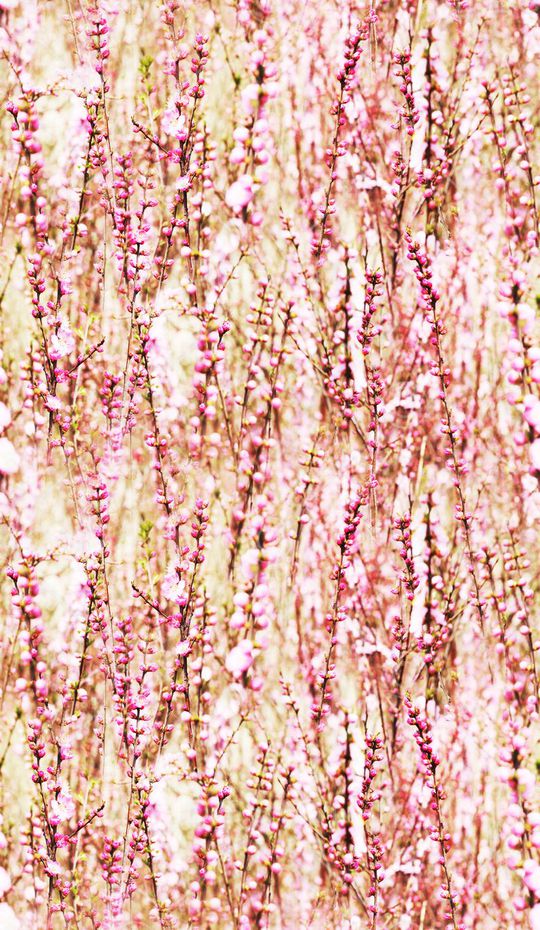 甜美 清新印花华亿平台图片