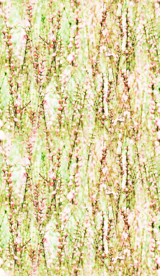 甜美 清新印花华亿平台图片