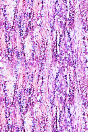 甜美 清新印花华亿平台图片