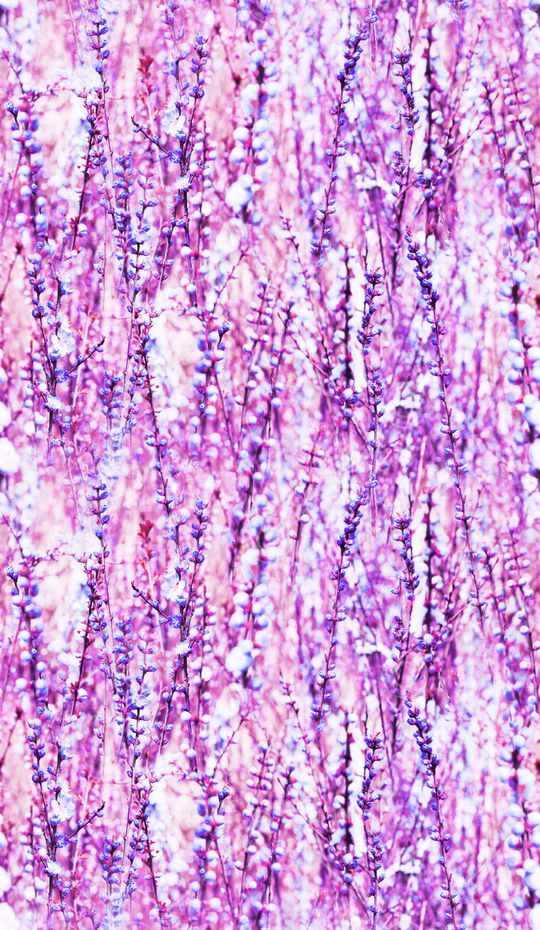 甜美 清新印花华亿平台图片