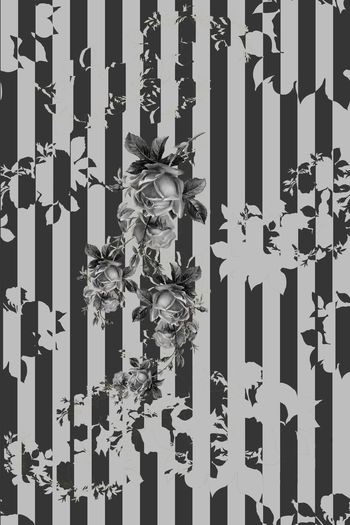 447111-简约时尚花卉剪影移位1