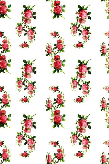 447115-小清新水彩玫瑰