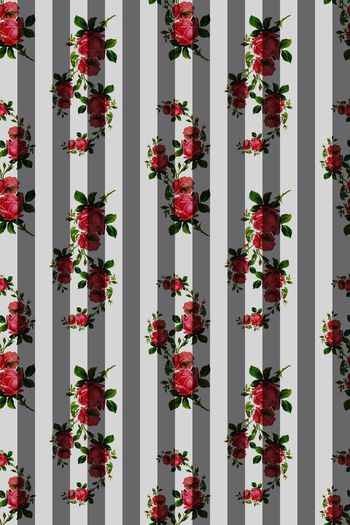 447116-小清新水彩玫瑰