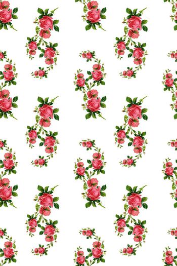 447117-小清新水彩玫瑰