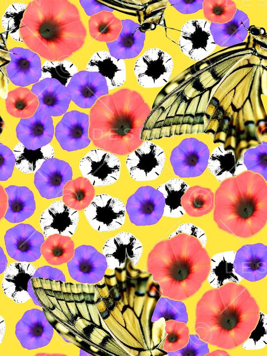 蝴蝶印花华亿平台图片