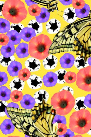 蝴蝶印花华亿平台图片