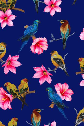 447186-原创手绘花鸟