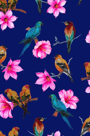 447187-原创手绘花鸟