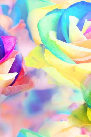 花 炫彩 女装 数码 花卉 彩色印花华亿平台图片