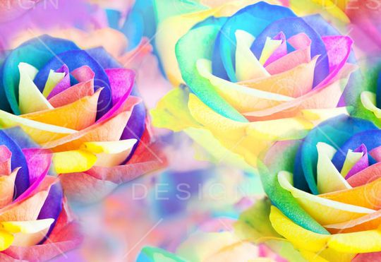 花 炫彩 女装 数码 花卉 彩色印花华亿平台图片