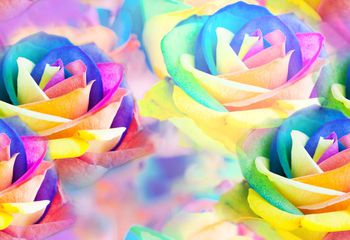 花 炫彩 女装 数码 花卉 彩色印花华亿平台图片