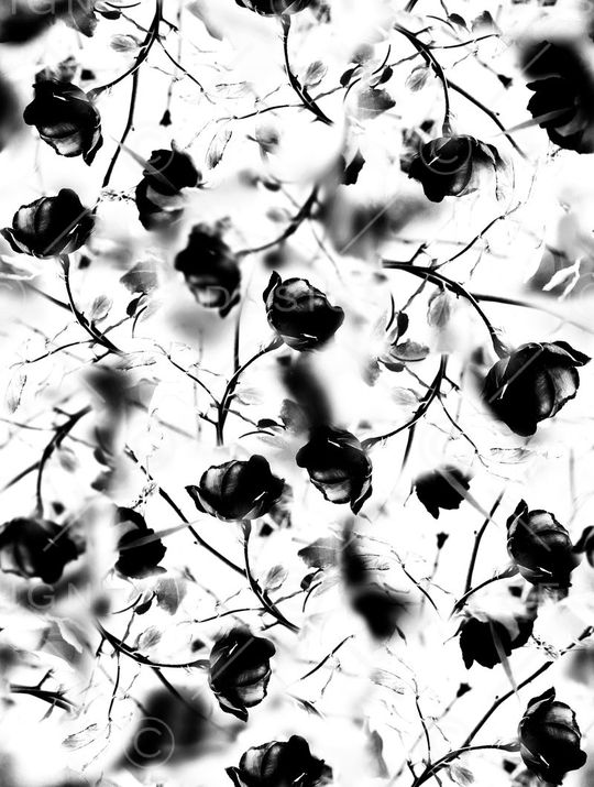 大牌抽象水墨花卉黑白年轻时尚数码印花印花华亿平台图片