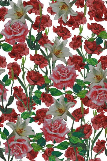 447437-中国原创纯手绘花卉系列 水彩水墨 