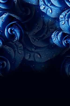 花朵印花华亿平台图片