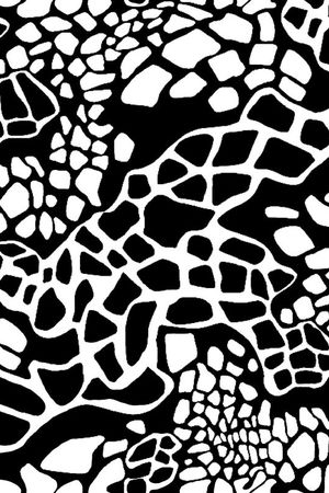 黑点印花华亿平台图片