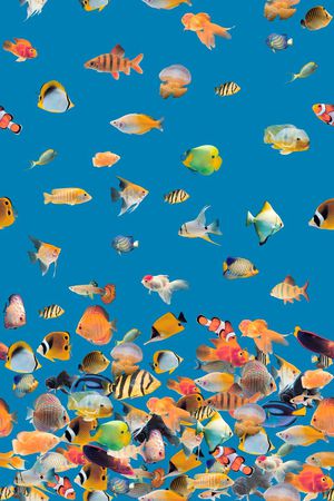 春夏热带印花华亿平台图片