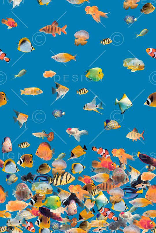 春夏热带印花华亿平台图片