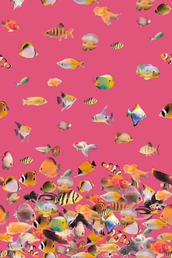 447813-春夏时尚热带风格鱼定位式满版数码印